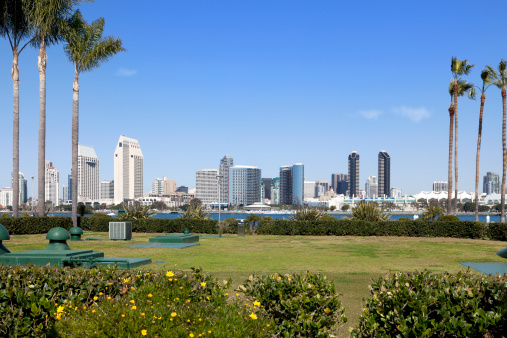 San Diego Waterfront Skyline in a park, California, USA.