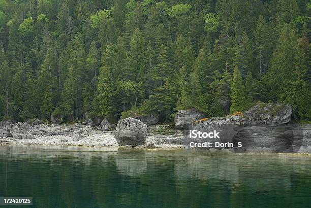 Rocky Litorale - Fotografie stock e altre immagini di Biodiversità - Biodiversità, Regione dei Grandi Laghi, Acqua