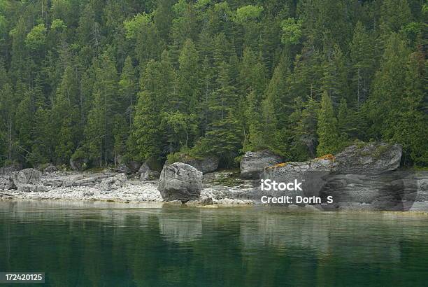 Rocky Shoreline - zdjęcia stockowe i więcej obrazów Różnorodność biologiczna - Różnorodność biologiczna, Wielkie Jeziora, Ameryka Północna