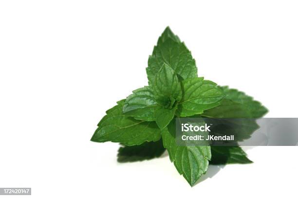 Photo libre de droit de Menthe Fraîche banque d'images et plus d'images libres de droit de Aliment - Aliment, Aliments et boissons, Condiments et aromates