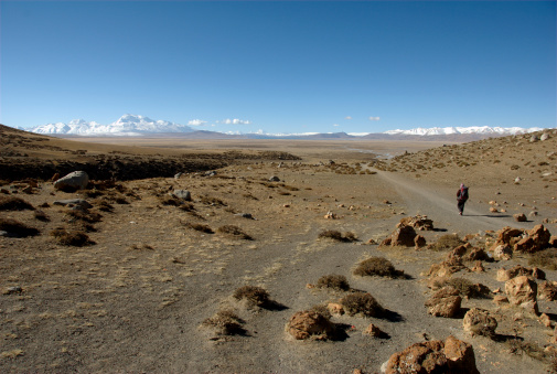 A porter leading the expedition on the kora around Mt Kailash (Gang Rinpoche). Namo Nani (7728m) is visible on the left.