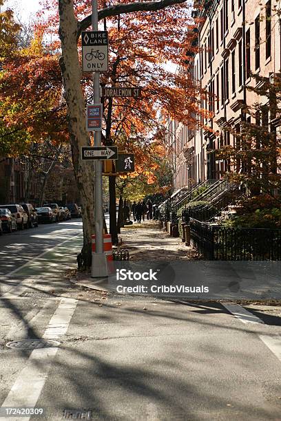 Brooklyn Высотыстрит Ньюйорке Осенью Листья — стоковые фотографии и другие картинки Архитектура - Архитектура, Архитектурный элемент, Без людей
