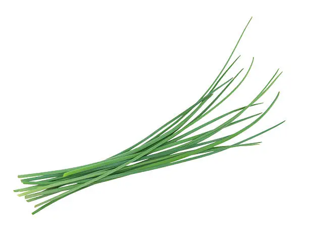 Chives on white background