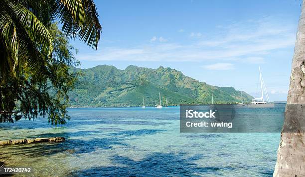 Opunohu Bay On The Island Of Moorea Stock Photo - Download Image Now - Bay of Water, Building Entrance, Cultures