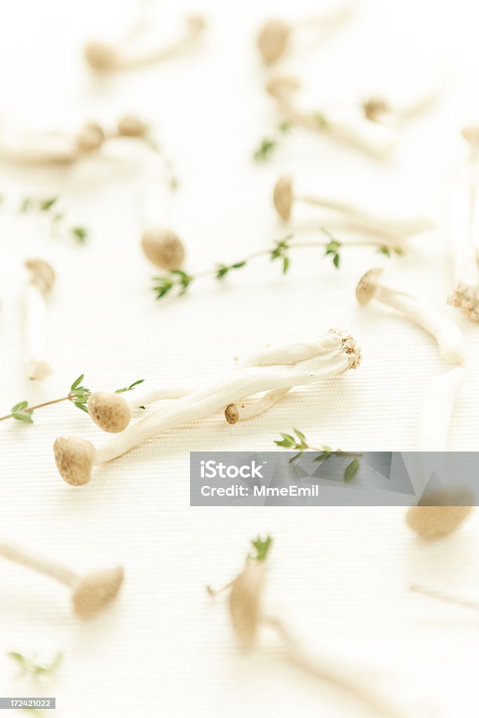 Shimeji грибами - Стоковые фото Без людей роялти-фри