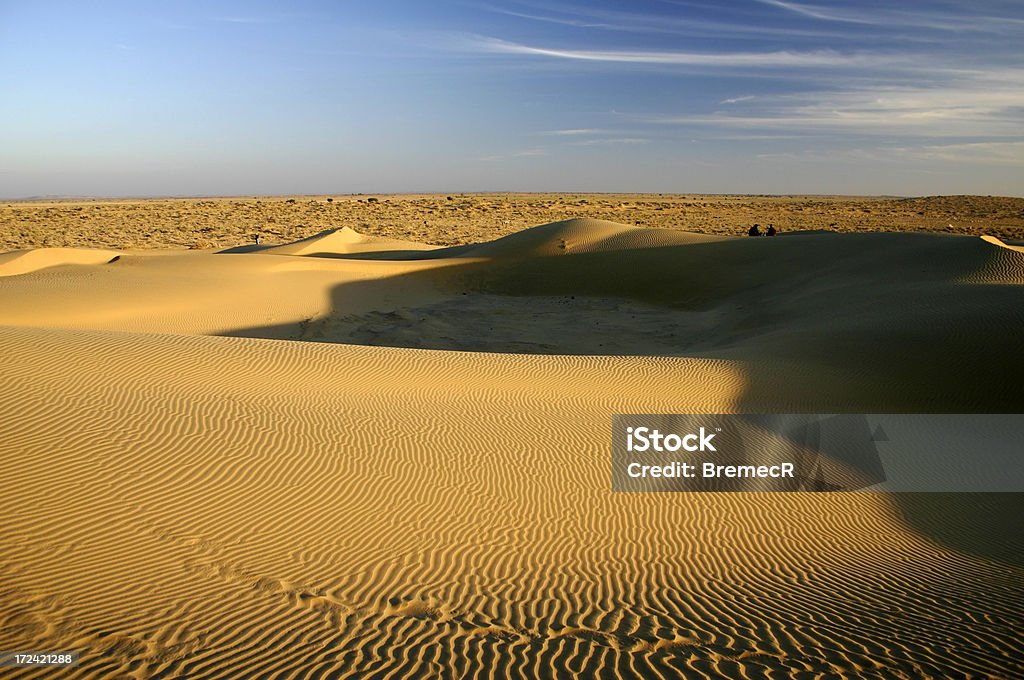 En el desierto - Foto de stock de Arena libre de derechos