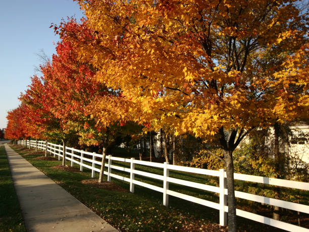 istock Autumn colors fence and sidewalk 172421349