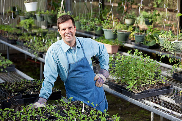istock Man working in plant nursery 172421459
