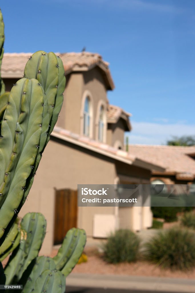 Cactus hogar - Foto de stock de Arizona libre de derechos