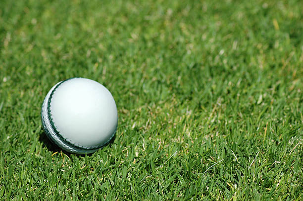branco bola de críquete na grama - oval cricket ground - fotografias e filmes do acervo