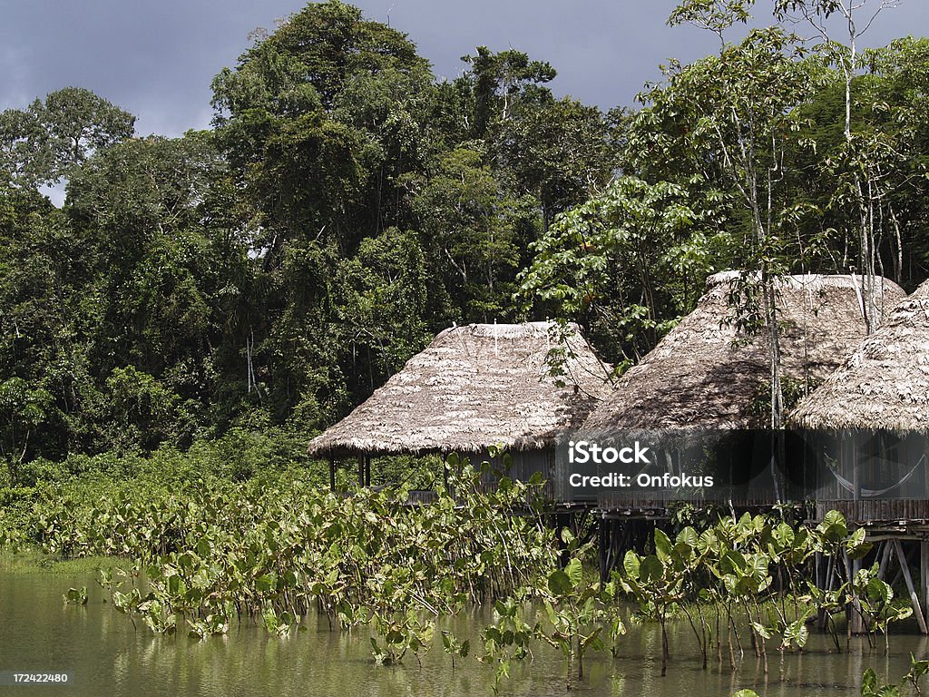 Uma reserva Kapawi no Amazons em Equador - Royalty-free América do Sul Foto de stock
