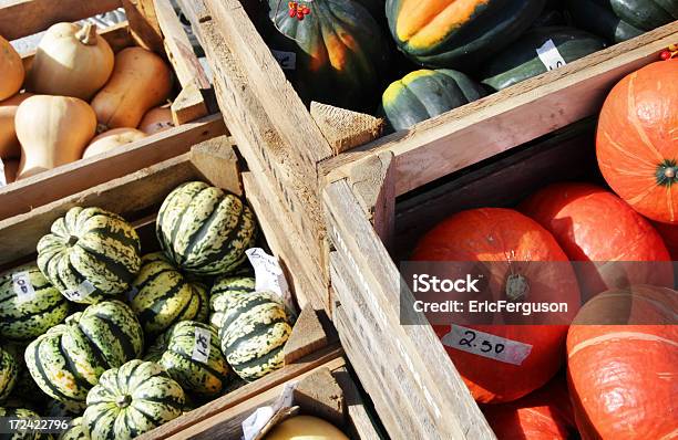 Photo libre de droit de Étal De Marché De Squash Et De Potirons Courge banque d'images et plus d'images libres de droit de Caisse - Caisse, Citrouille, Étal de marché