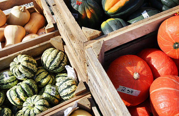 Market Stall Squash, Gourds  and Pumpkins