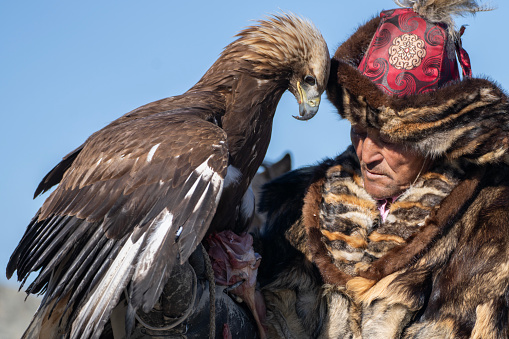 Bayan-Olgii Province, Mongolia - September 28, 2023: An ethnic Kazakh eagle hunter and his golden eagle.