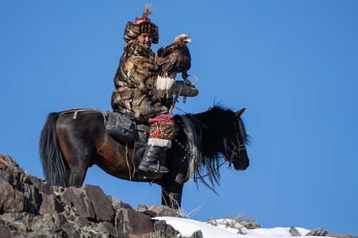 Bayan-Olgii Province, Mongolia - September 28, 2023: An ethnic Kazakh eagle hunter, with a golden eagle perched on his arm, surveys the surrounding landscape for prey from the top of a steppe.