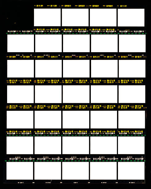 Film contact  contact sheet photos stock pictures, royalty-free photos & images
