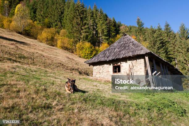 Holzhütte Stockfoto und mehr Bilder von Agrarbetrieb - Agrarbetrieb, Alt, Altertümlich