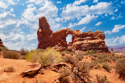 Arid climate in the Arches National Park in Utah, USA. Famous natural landmark