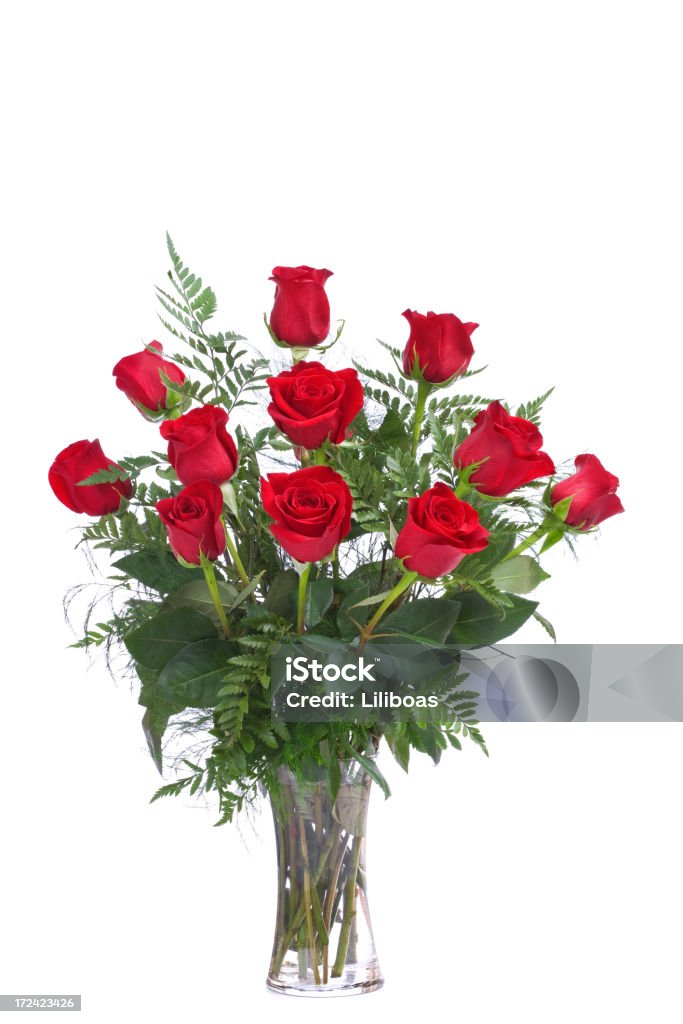 Dozen Roses (XL)  Rose - Flower Stock Photo