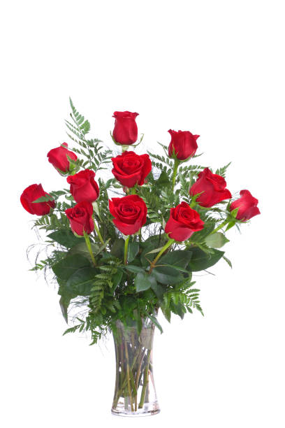 дюжина роз (xl - dozen roses rose flower arrangement red стоковые фото и изображения