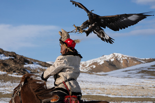 Bayan-Olgii Province, Mongolia - September 30, 2023: Ethnic Kazakh eagle hunter riding with golden eagle tethered to arm at a local Golden Eagle Festival.