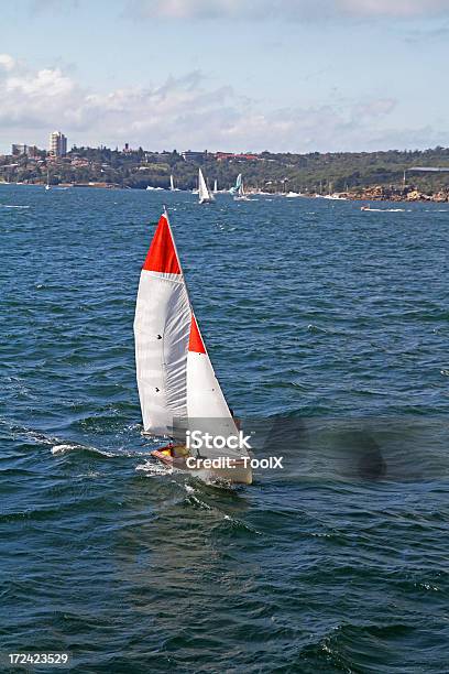 Photo libre de droit de Voile Dans La Baie De Sydney banque d'images et plus d'images libres de droit de Activité - Activité, Adulte, Apprentissage