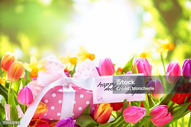 Coloridos Tulipanes Daffodils Con Una Caja De Regalo Y Tarjeta De Felicitación Foto de stock y más banco de imágenes de Belleza