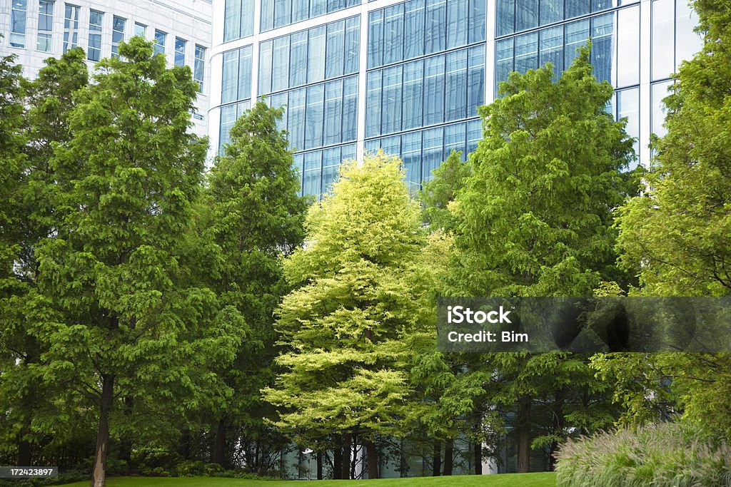 Büro Gebäude und Bäume im Business Park, London Canary Wharf - Lizenzfrei Baum Stock-Foto