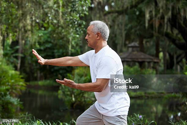 선임 중유럽식 남성은 해군 연습 태극권 Tai Chi에 대한 스톡 사진 및 기타 이미지 - Tai Chi, 노인, 남자