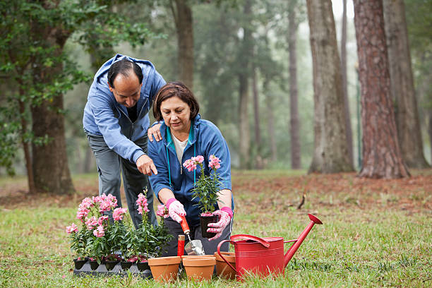 istock Hispanic couple gardening 172424034