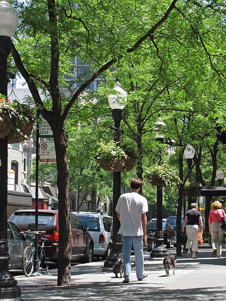 istock Walking the Dog in City 172424102