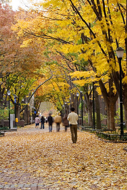 gente cammina nel parco d'autunno - campus autumn walking university foto e immagini stock