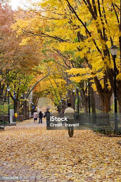 Ludzie Chodzić W Jesieni Park - zdjęcia stockowe i więcej obrazów Kampus uniwersytecki - Kampus uniwersytecki, Jesień, Spacerować