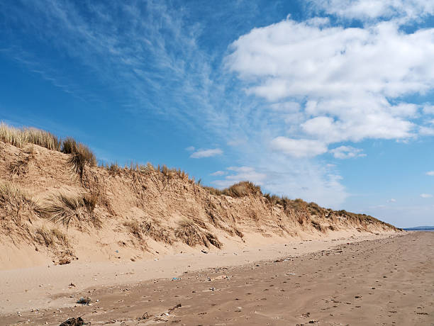 istock Deserted beach and sand dunes 172424296
