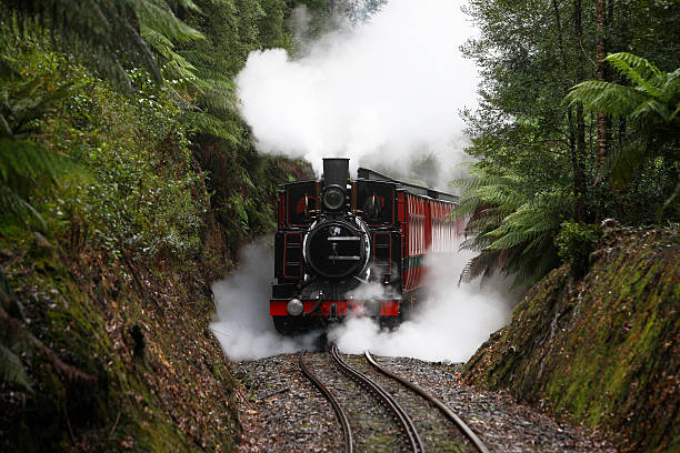 reserva ecológica de trem a vapor em abt suporte de-ferro - rack railway imagens e fotografias de stock