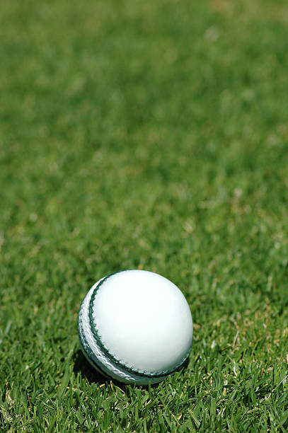 White cricket ball on grass stock photo