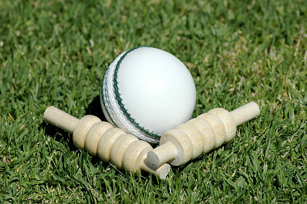 branco bola de críquete e bails - oval cricket ground - fotografias e filmes do acervo