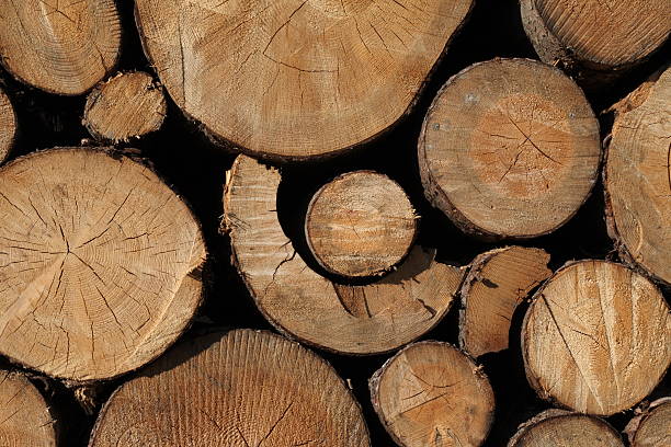 wooden discs stock photo