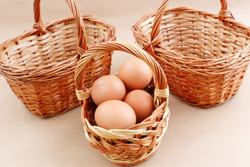 All eggs in one basket photography.