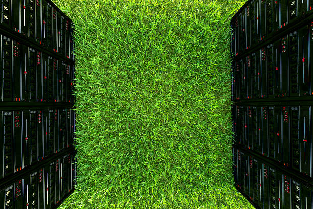 ordenadores verde - computer lab green office computer fotografías e imágenes de stock