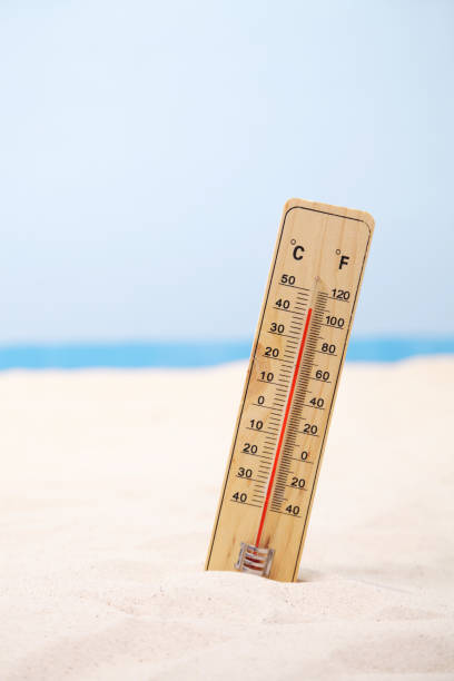 istock Hot weather at the beach 172425460