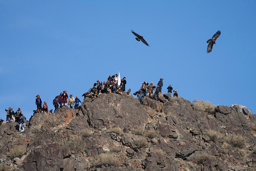 Bayan-Olgii Province, Mongolia - September 30, 2023: Ethnic Kazakh eagle hunters gather at the top of a steppe during a competition in a local Golden Eagle Festival, with two eagles taking off erroneously after spotting a rabbit.