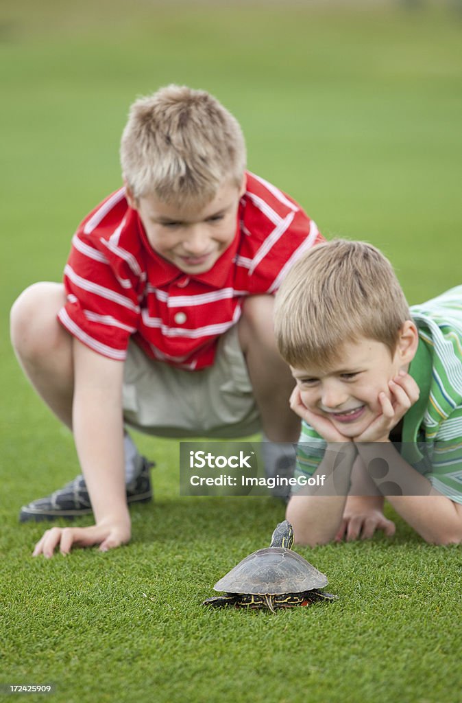 Due ragazzi con Tartaruga - Foto stock royalty-free di Bambino