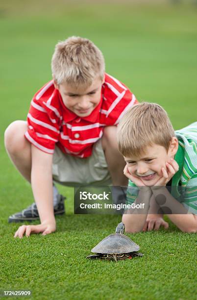 Due Ragazzi Con Tartaruga - Fotografie stock e altre immagini di Bambino - Bambino, Tartaruga, Accessorio per animali