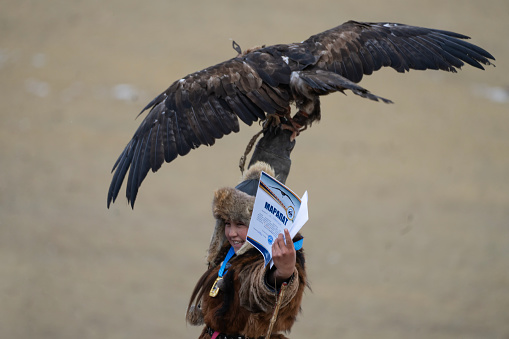 Bayan-Olgii Province, Mongolia - October 1, 2023:  Aimuldir D., an ethnic Kazakh female eagle hunter and winner of her local Golden Eagle Festival, raises a golden eagle perched on her arm as she celebrates.