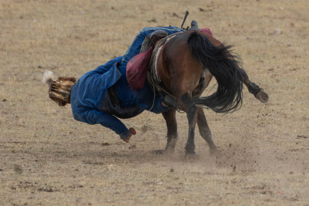 Khankh, Mongolia - June 22, 2008: Horses are on the grassland. Horses are on the grassland. Group of horse for riding on the Mongolian grassland