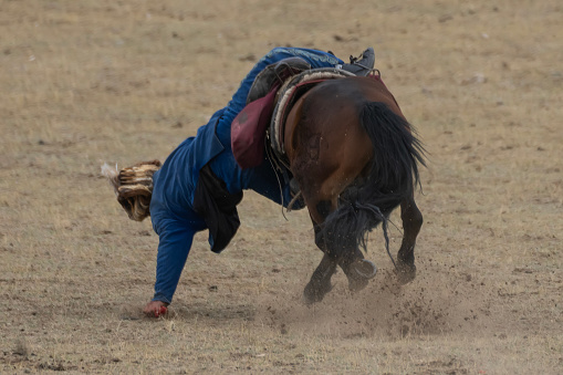 Bayan-Olgii Province, Mongolia - October 1, 2023: A man on a horse bends towards the ground to pick up a coin pouch, as part of a competition round showcasing a traditional Kazakh games called \