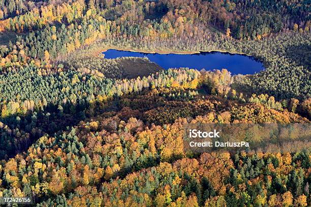 Aerial Photo Of A Forest Pond Autumn Stock Photo - Download Image Now - Above, Aerial View, Agriculture