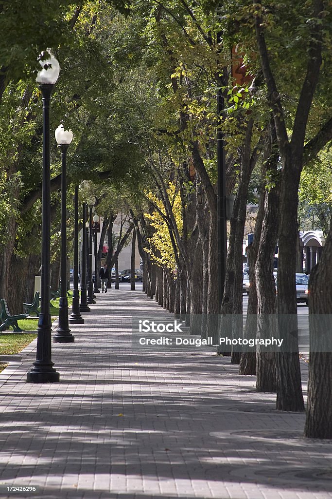 Saskatoon Chodnik - Zbiór zdjęć royalty-free (Saskatoon)