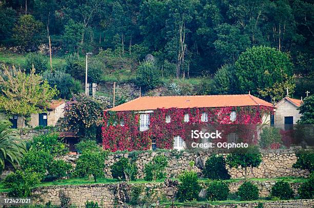 Casa Cubierta Con Rojo Ivy En Otoño Foto de stock y más banco de imágenes de Aire libre - Aire libre, Ajardinado, Arquitectura